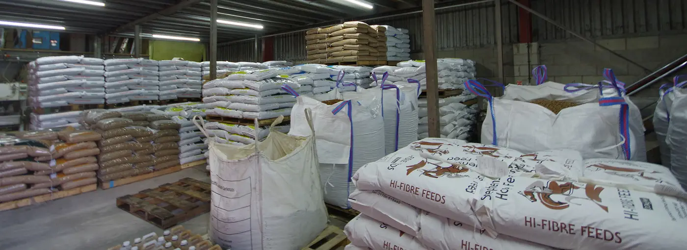 Automated Bagging Line